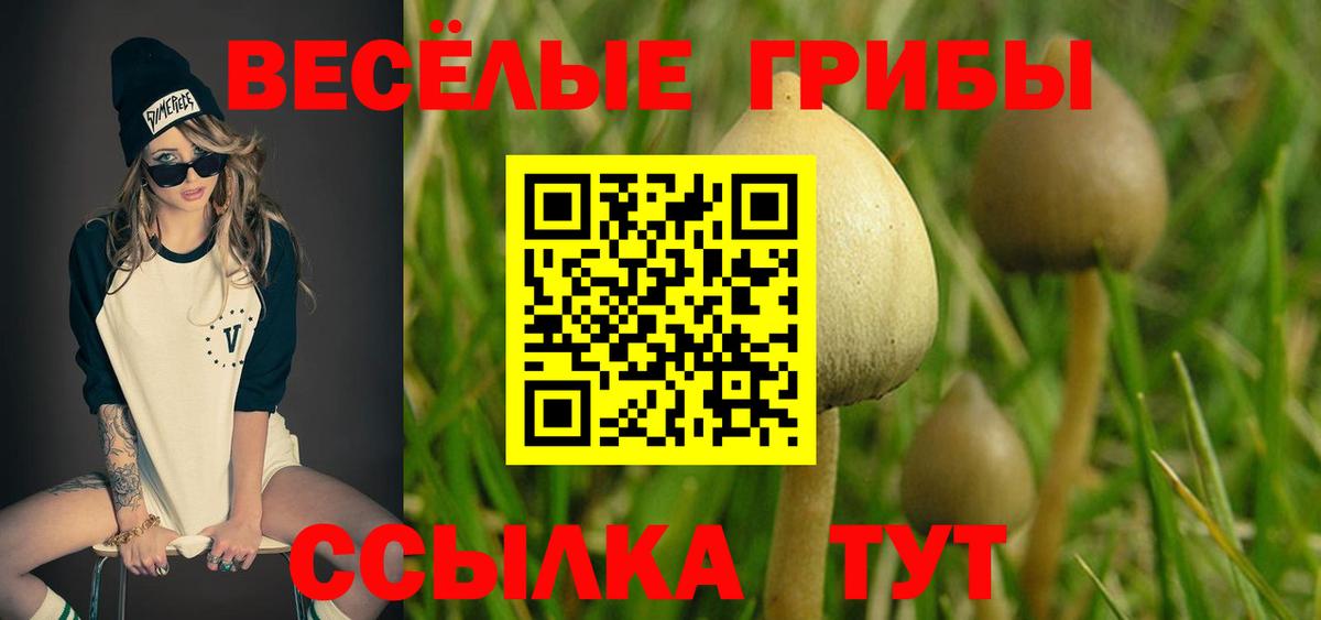 Галлюциногенные грибы мухоморы  Галлюциногенные грибы мицелий  Вход с VPN  Сочи 